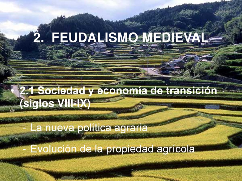 2. FEUDALISMO MEDIEVAL 2.1 Sociedad y economía de transición (siglos VIII-IX) La nueva política agraria.
