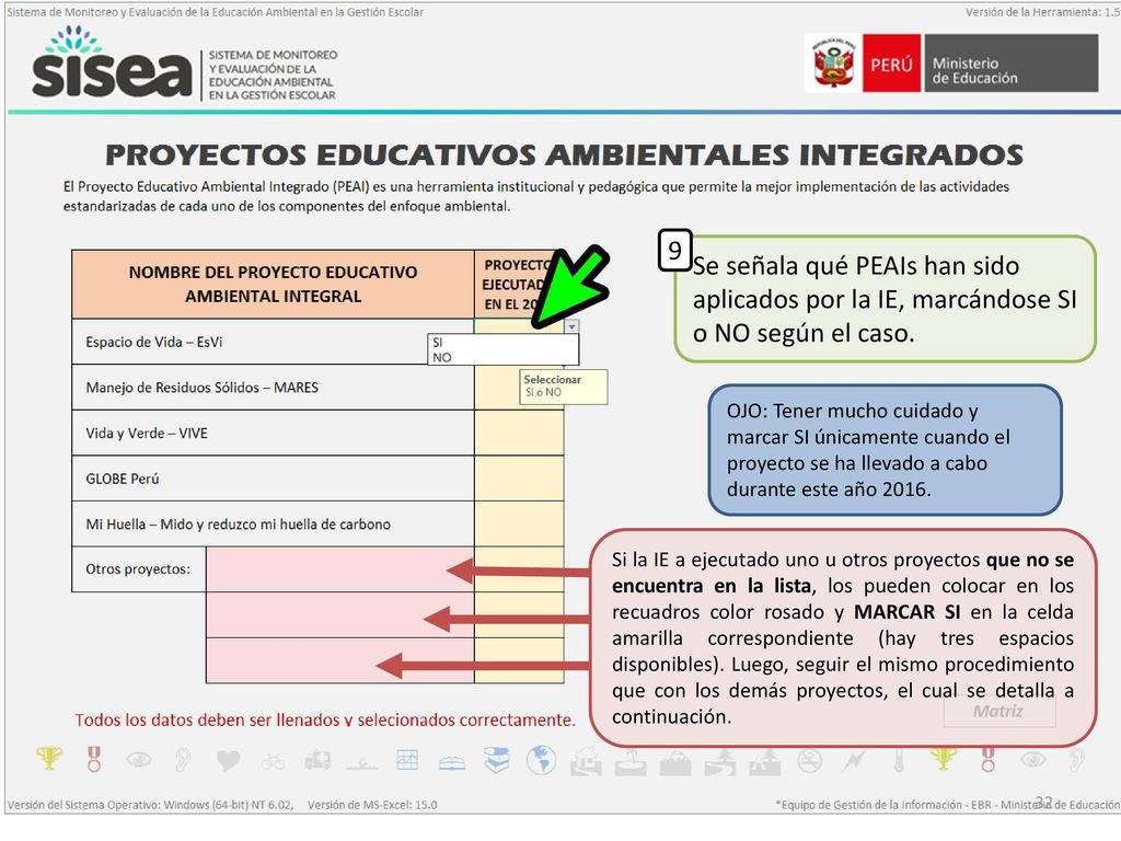 9 Se señala qué PEAIs han sido aplicados por la IE, marcándose SI o NO según el caso.