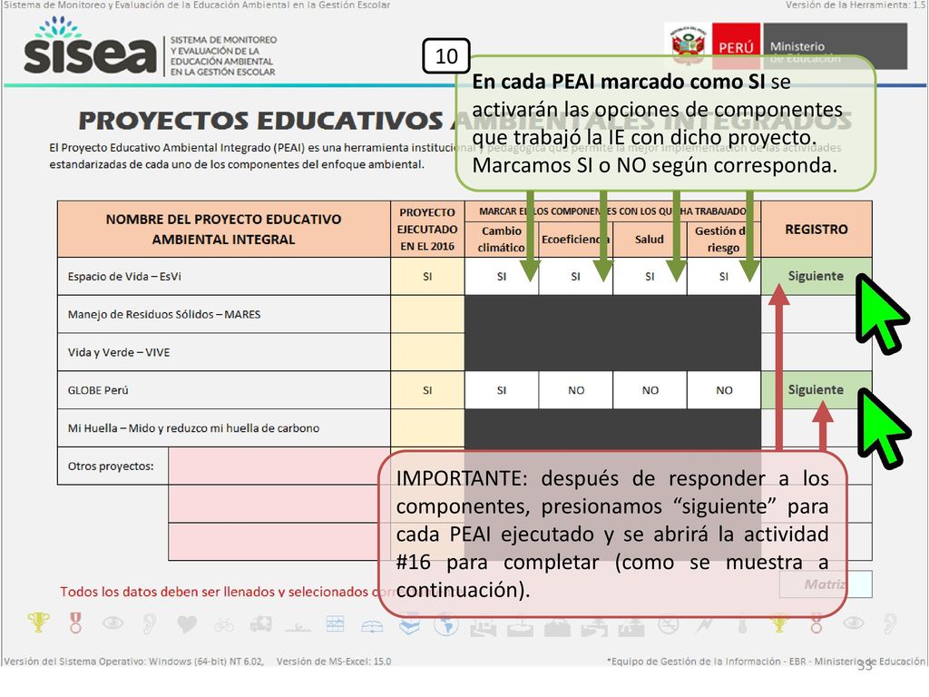 10 En cada PEAI marcado como SI se activarán las opciones de componentes que trabajó la IE con dicho proyecto. Marcamos SI o NO según corresponda.