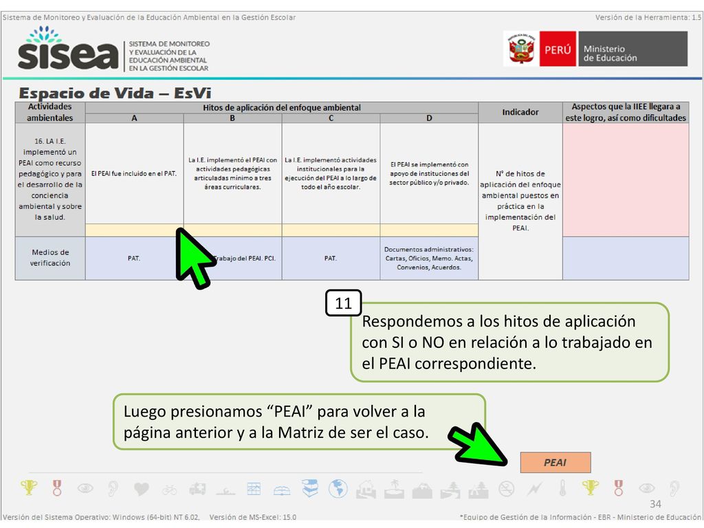 11 Respondemos a los hitos de aplicación con SI o NO en relación a lo trabajado en el PEAI correspondiente.