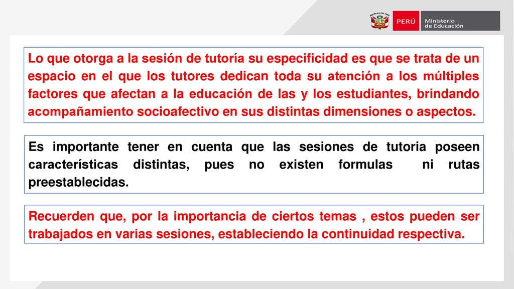 Lo que otorga a la sesión de tutoría su especificidad es que se trata de un espacio en el que los tutores dedican toda su atención a los múltiples factores que afectan a la educación de las y los estudiantes, brindando acompañamiento socioafectivo en sus distintas dimensiones o aspectos.