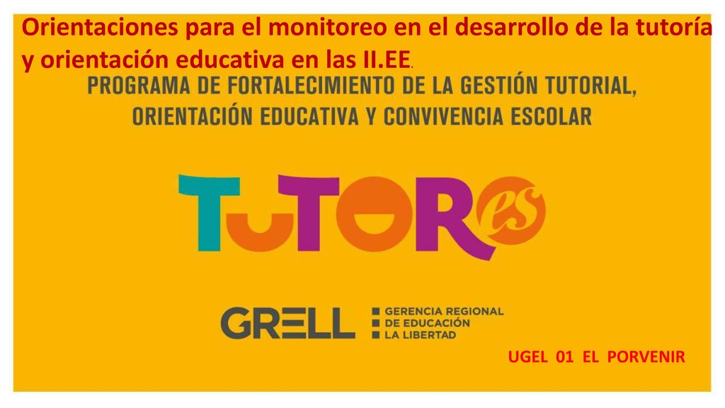Orientaciones para el monitoreo en el desarrollo de la tutoría y orientación educativa en las II.EE.