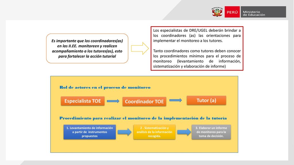 Tutor (a) Especialista TOE Coordinador TOE