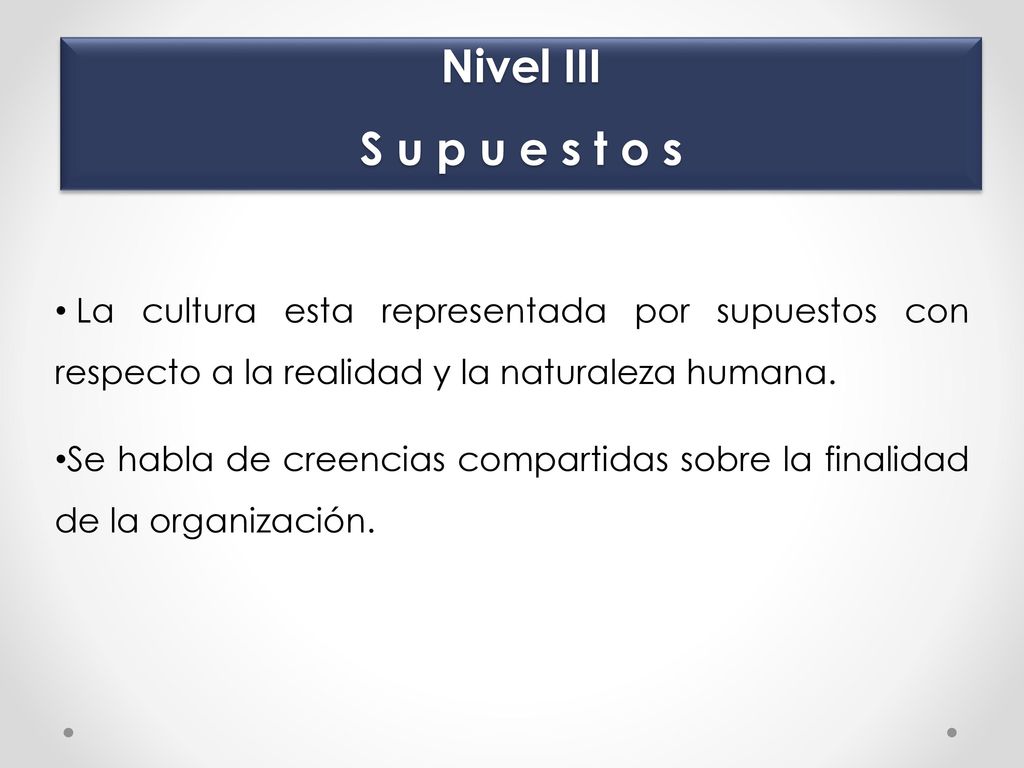 Nivel III S u p u e s t o s La cultura esta representada por supuestos con respecto a la realidad y la naturaleza humana.