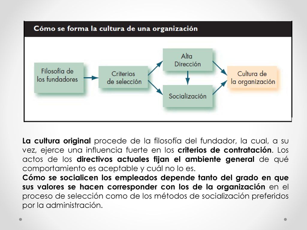 La cultura original procede de la filosofía del fundador, la cual, a su vez, ejerce una influencia fuerte en los criterios de contratación. Los actos de los directivos actuales fijan el ambiente general de qué comportamiento es aceptable y cuál no lo es.