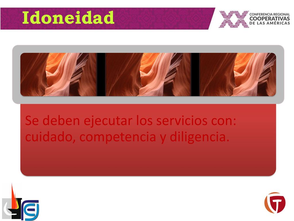 Idoneidad Se deben ejecutar los servicios con: cuidado, competencia y diligencia.