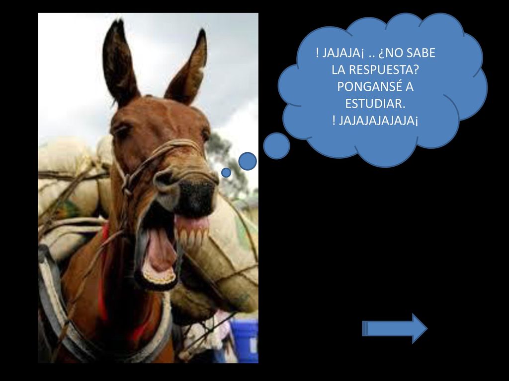 ! JAJAJA¡ .. ¿NO SABE LA RESPUESTA PONGANSÉ A ESTUDIAR. ! JAJAJAJAJAJA¡