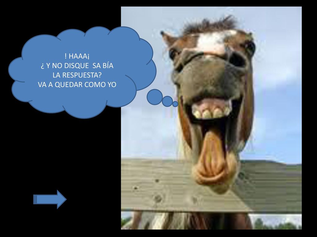 ! HAAA¡ ¿ Y NO DISQUE SA BÍA LA RESPUESTA VA A QUEDAR COMO YO