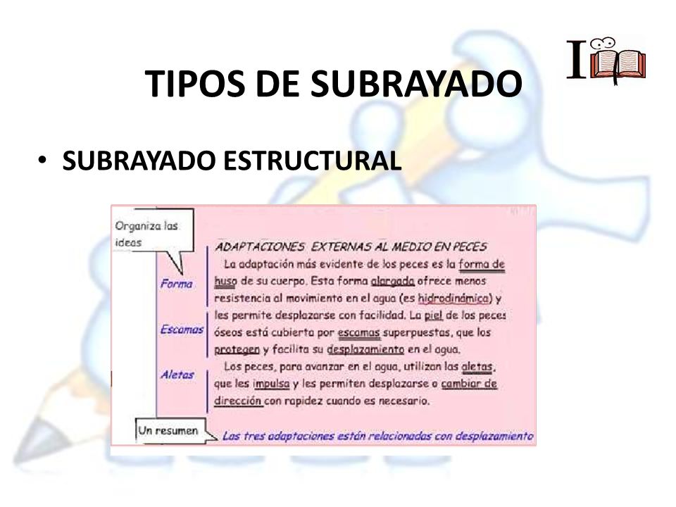 TIPOS DE SUBRAYADO SUBRAYADO ESTRUCTURAL