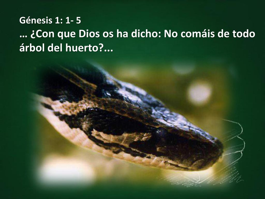 … ¿Con que Dios os ha dicho: No comáis de todo árbol del huerto ...