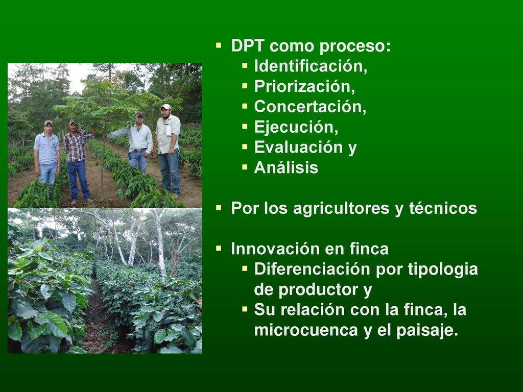 DPT como proceso: Identificación, Priorización, Concertación, Ejecución, Evaluación y. Análisis.
