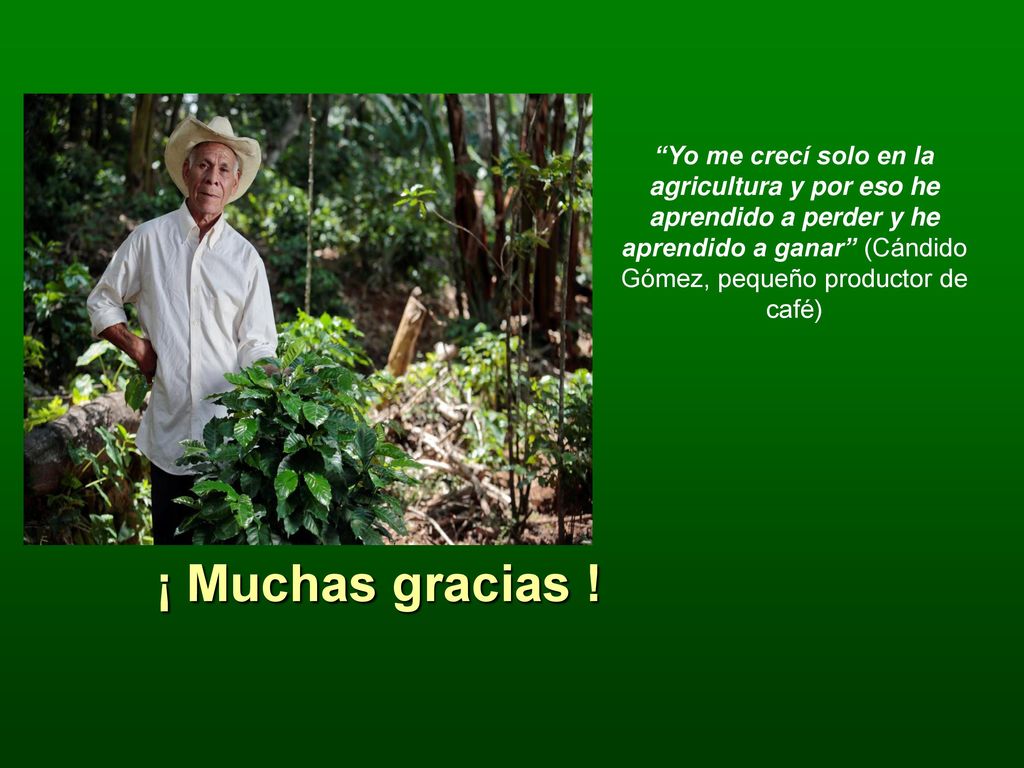 Yo me crecí solo en la agricultura y por eso he aprendido a perder y he aprendido a ganar (Cándido Gómez, pequeño productor de café)