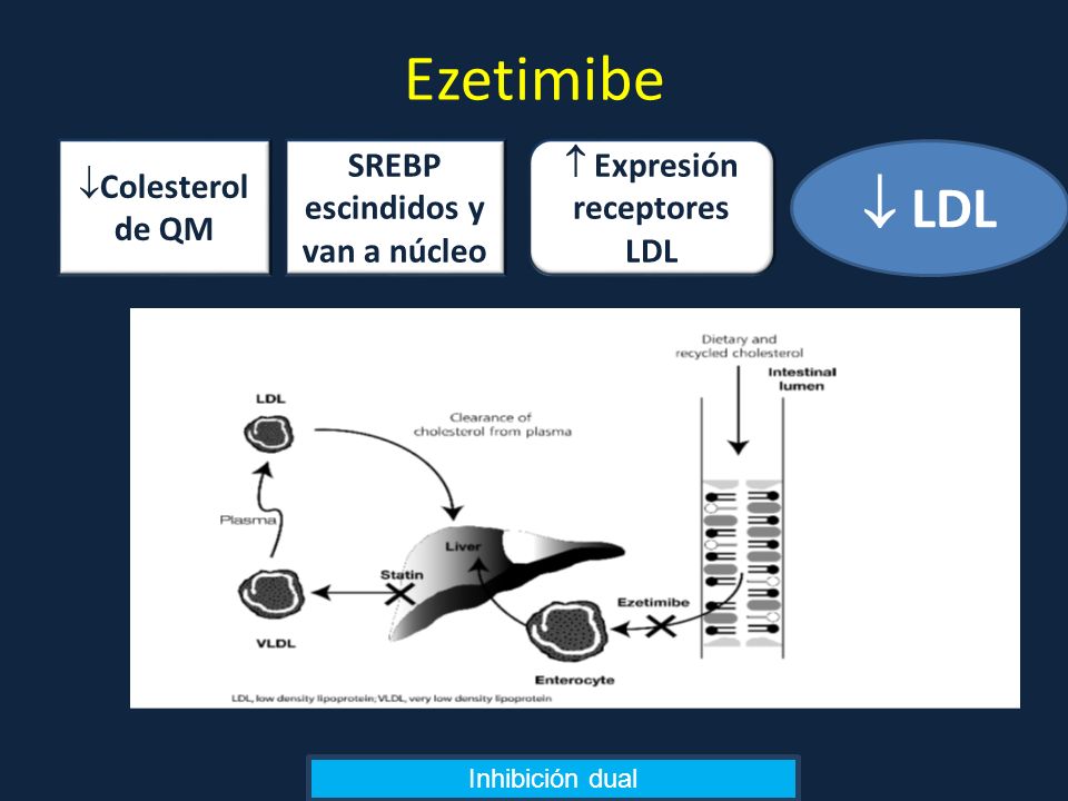 SREBP escindidos y van a núcleo  Expresión receptores LDL
