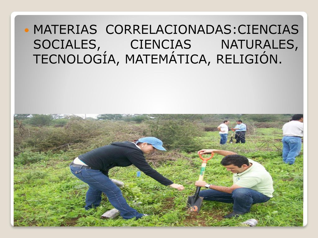 MATERIAS CORRELACIONADAS:CIENCIAS SOCIALES, CIENCIAS NATURALES, TECNOLOGÍA, MATEMÁTICA, RELIGIÓN.