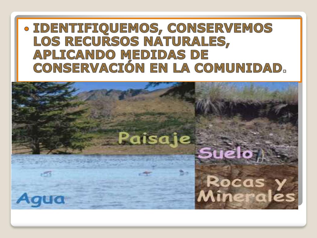 IDENTIFIQUEMOS, CONSERVEMOS LOS RECURSOS NATURALES, APLICANDO MEDIDAS DE CONSERVACIÓN EN LA COMUNIDAD.