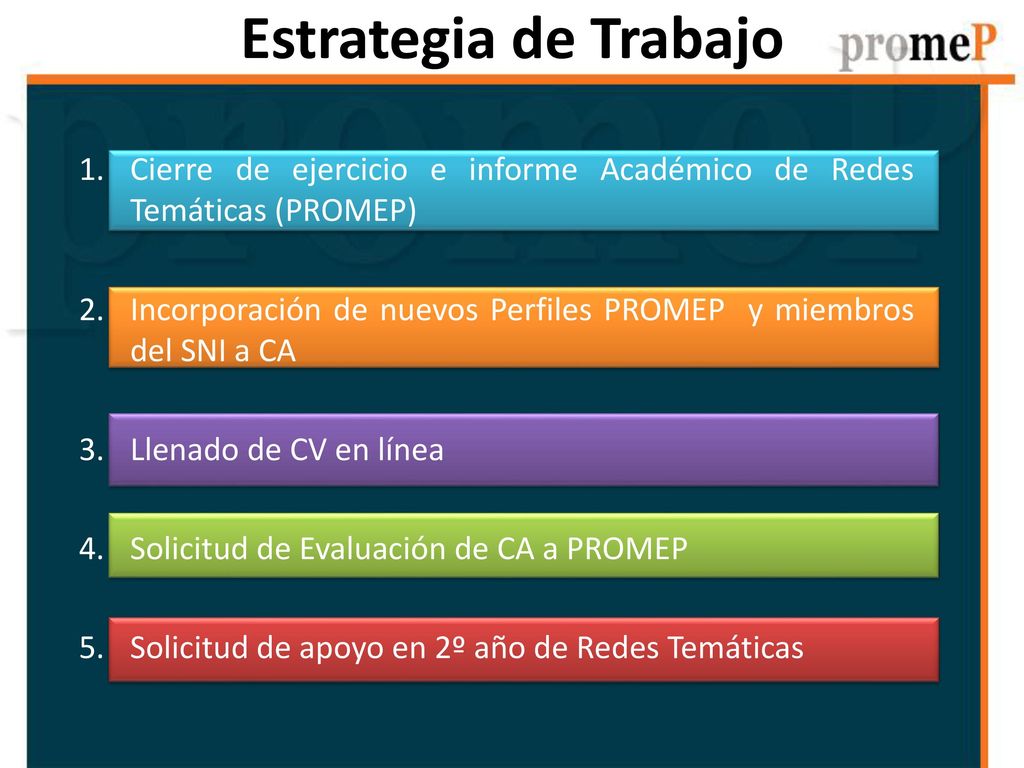 Estrategia de Trabajo Cierre de ejercicio e informe Académico de Redes Temáticas (PROMEP)