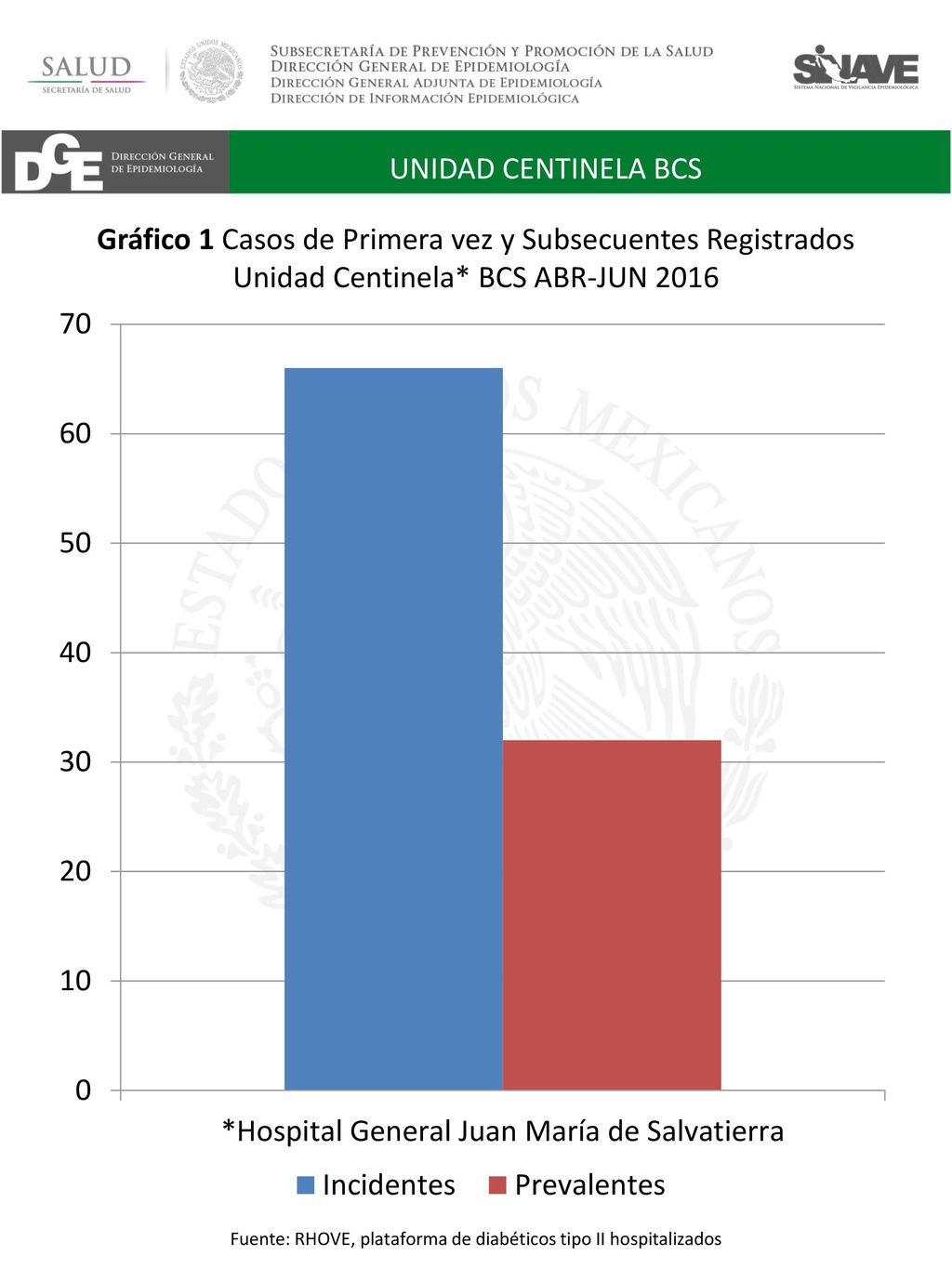 Fuente: RHOVE, plataforma de diabéticos tipo II hospitalizados