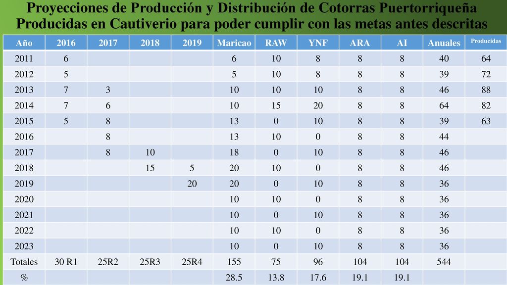 Proyecciones de Producción y Distribución de Cotorras Puertorriqueña Producidas en Cautiverio para poder cumplir con las metas antes descritas