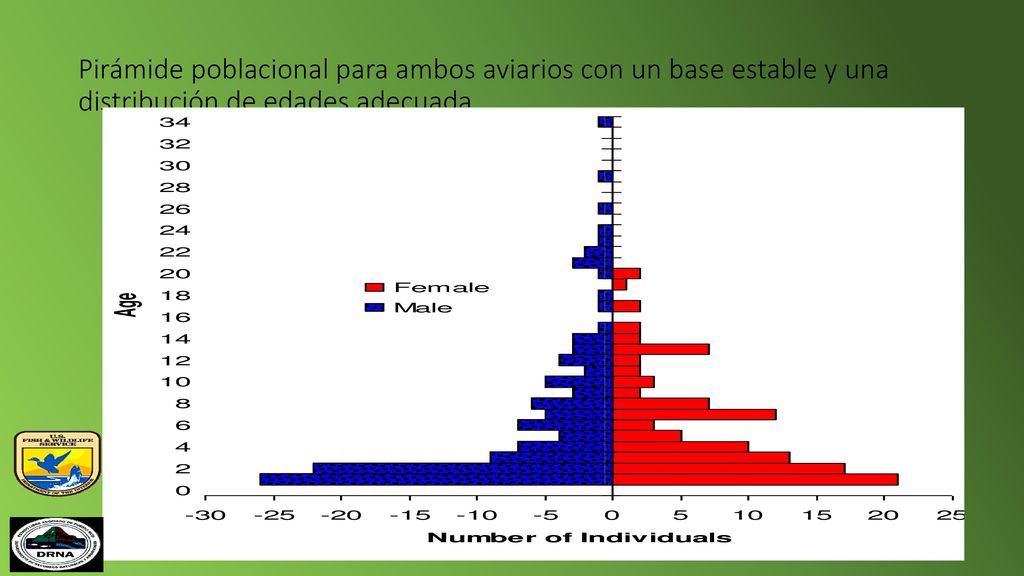 Pirámide poblacional para ambos aviarios con un base estable y una distribución de edades adecuada