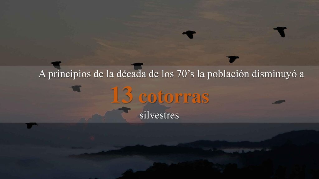 A principios de la década de los 70’s la población disminuyó a