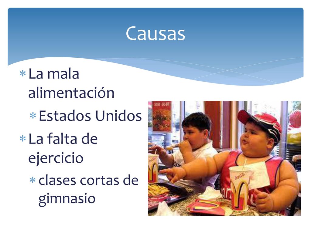 Causas La mala alimentación Estados Unidos La falta de ejercicio