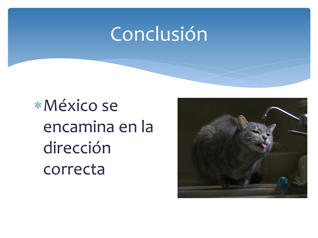 Conclusión México se encamina en la dirección correcta