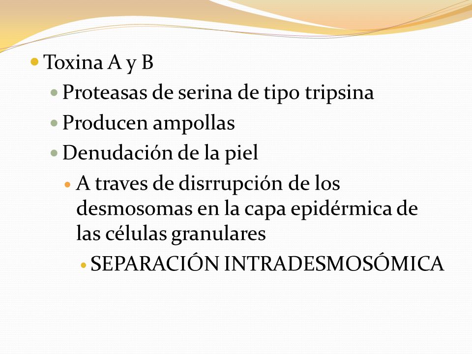 Toxina A y B Proteasas de serina de tipo tripsina. Producen ampollas. Denudación de la piel.