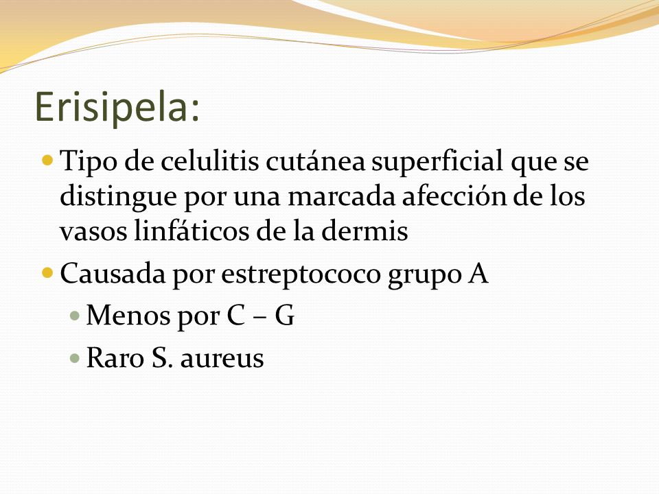 Erisipela: Tipo de celulitis cutánea superficial que se distingue por una marcada afección de los vasos linfáticos de la dermis.
