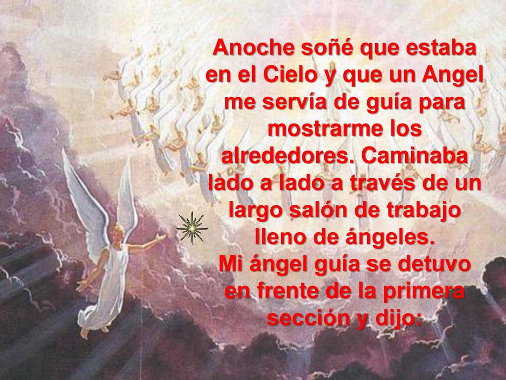 Mi ángel guía se detuvo en frente de la primera sección y dijo: