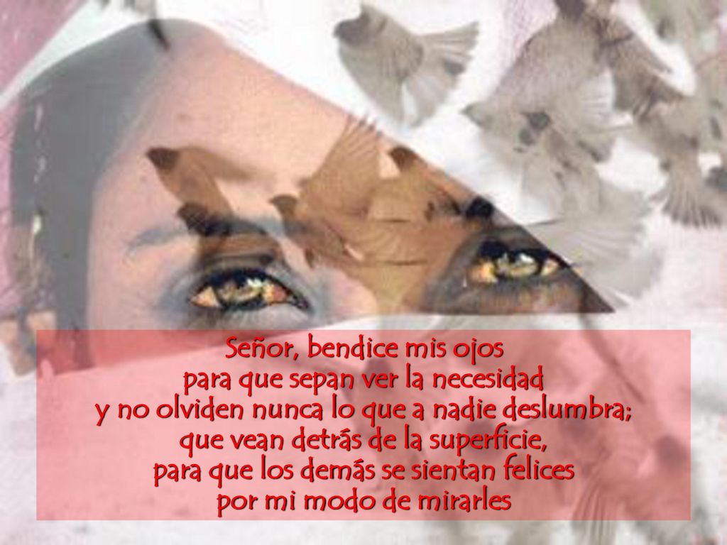 Señor, bendice mis ojos para que sepan ver la necesidad y no olviden nunca lo que a nadie deslumbra; que vean detrás de la superficie, para que los demás se sientan felices por mi modo de mirarles