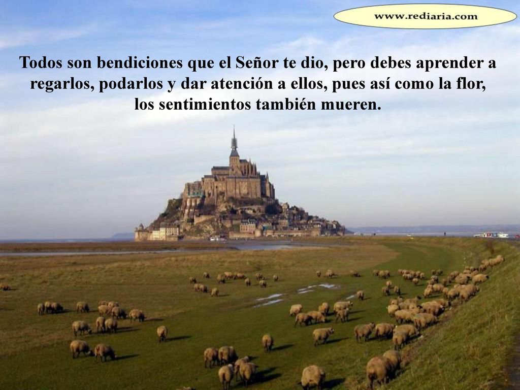Todos son bendiciones que el Señor te dio, pero debes aprender a regarlos, podarlos y dar atención a ellos, pues así como la flor, los sentimientos también mueren.