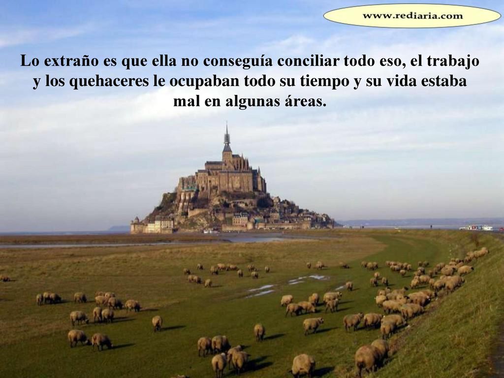 Lo extraño es que ella no conseguía conciliar todo eso, el trabajo y los quehaceres le ocupaban todo su tiempo y su vida estaba mal en algunas áreas.