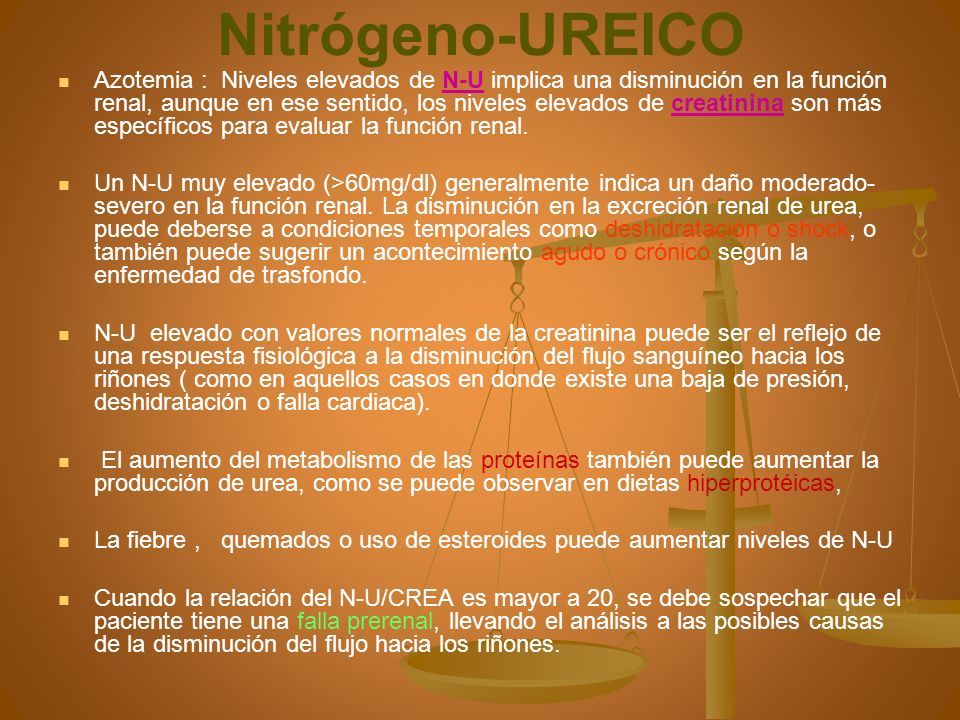 nitrogeno ureico y creatinina elevados