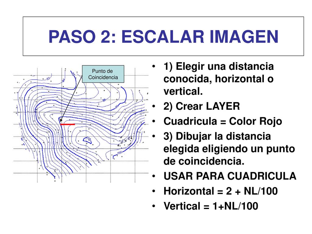 PASO 2: ESCALAR IMAGEN 1) Elegir una distancia conocida, horizontal o vertical. 2) Crear LAYER. Cuadricula = Color Rojo.