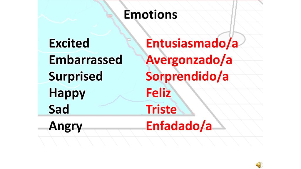 Emotions Excited Embarrassed Surprised Happy Sad Angry Entusiasmado/a. Avergonzado/a. Sorprendido/a.