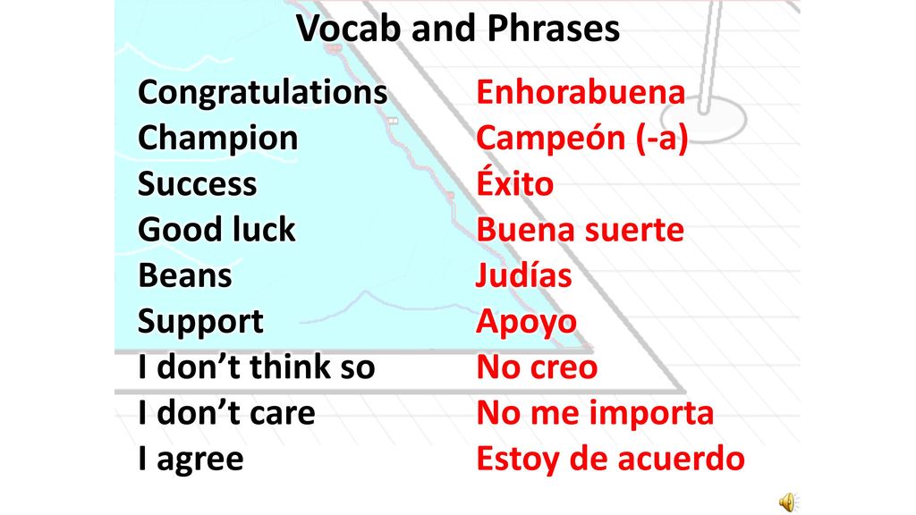 Vocab and Phrases Congratulations Champion Success Good luck Beans Support I don’t think so I don’t care I agree