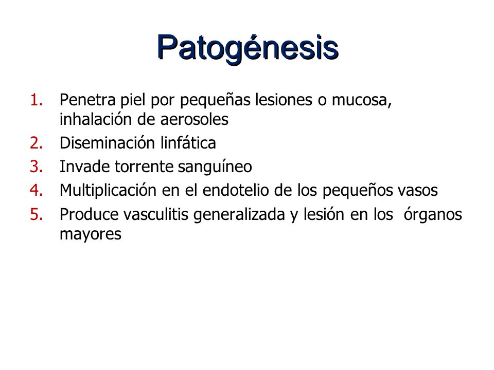 Patogénesis Penetra piel por pequeñas lesiones o mucosa, inhalación de aerosoles. Diseminación linfática.