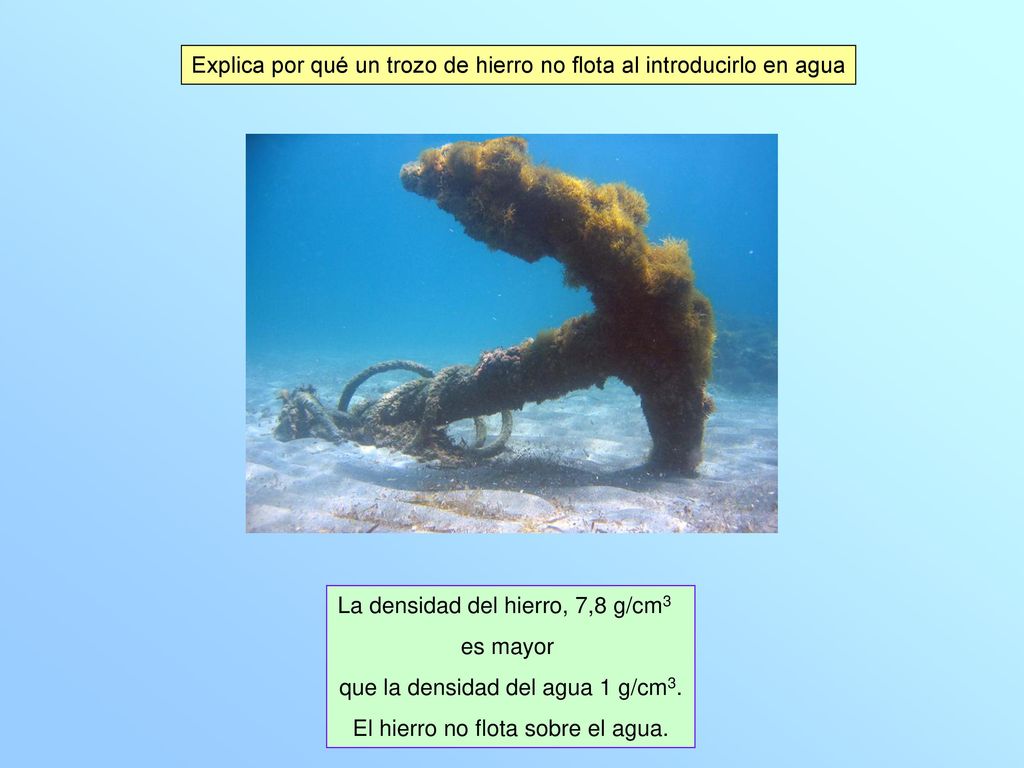 Explica por qué un trozo de hierro no flota al introducirlo en agua