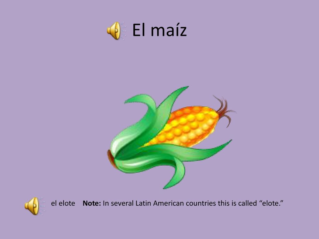El maíz el elote Note: In several Latin American countries this is called elote.