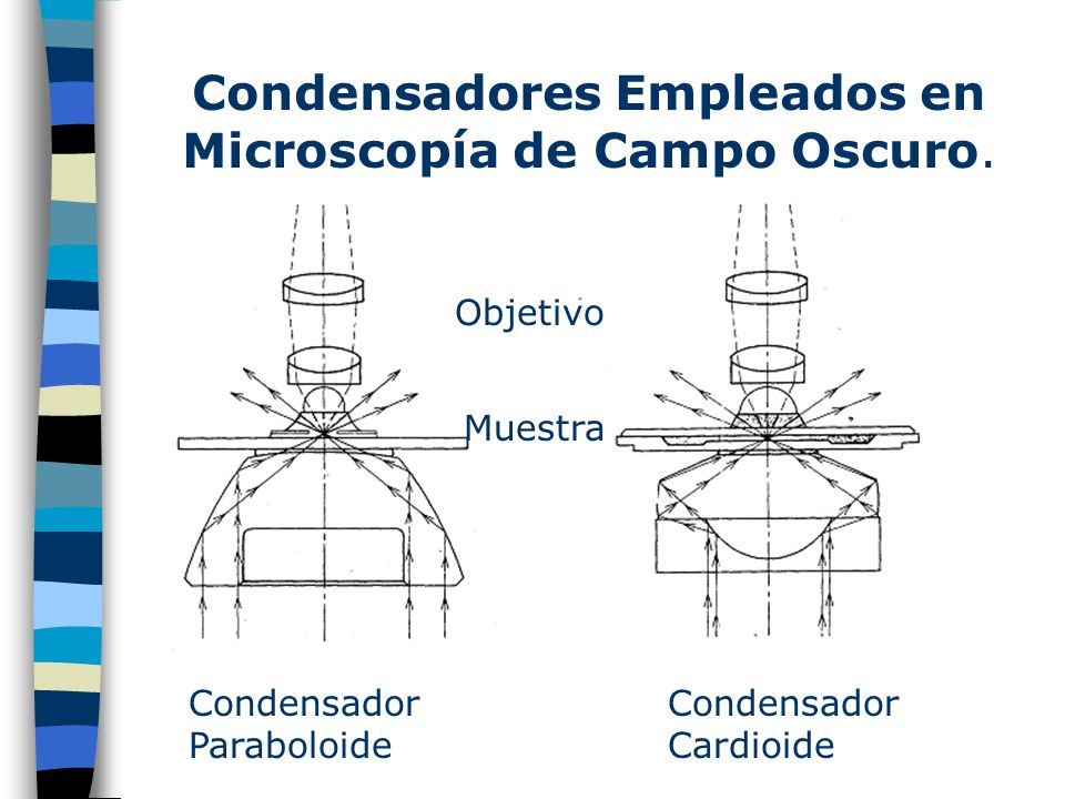 Condensadores Empleados en Microscopía de Campo Oscuro.