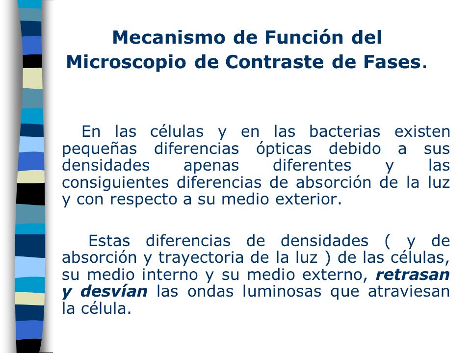 Mecanismo de Función del Microscopio de Contraste de Fases.