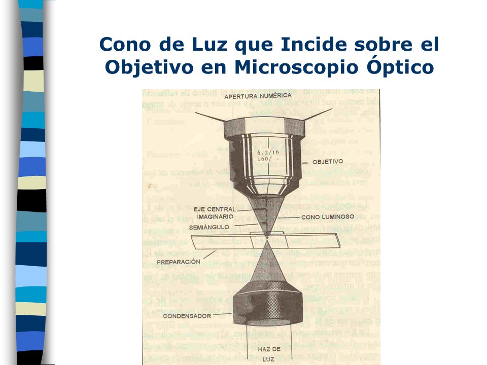 Cono de Luz que Incide sobre el Objetivo en Microscopio Óptico