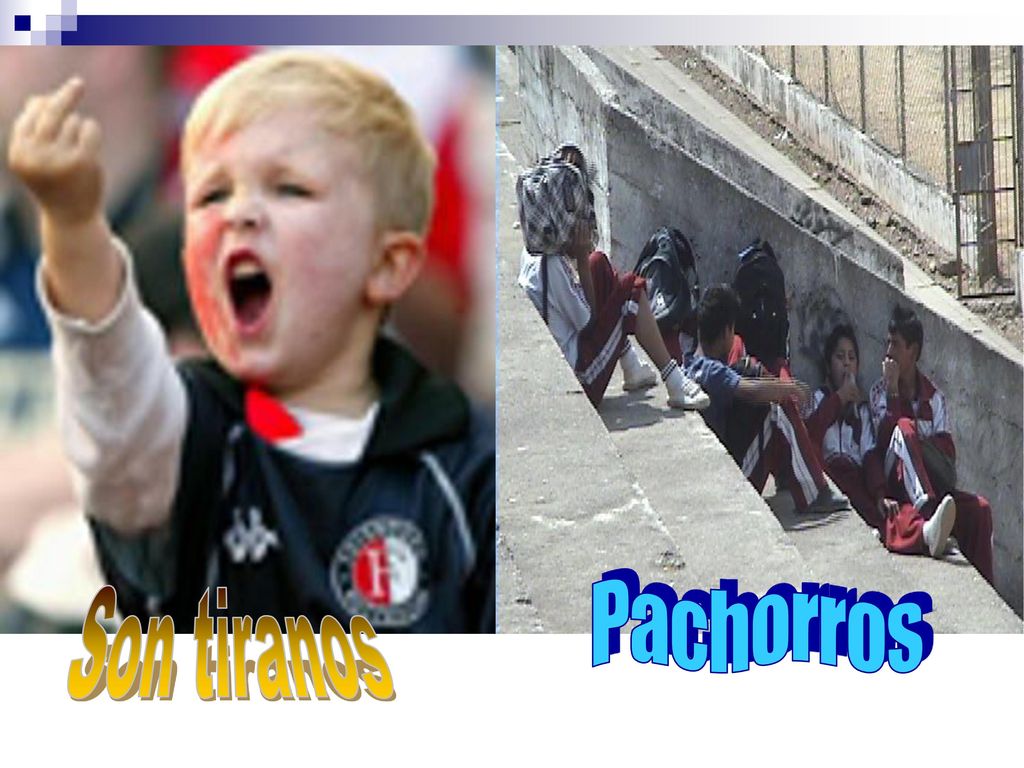 P a c h o r r o s Son tiranos