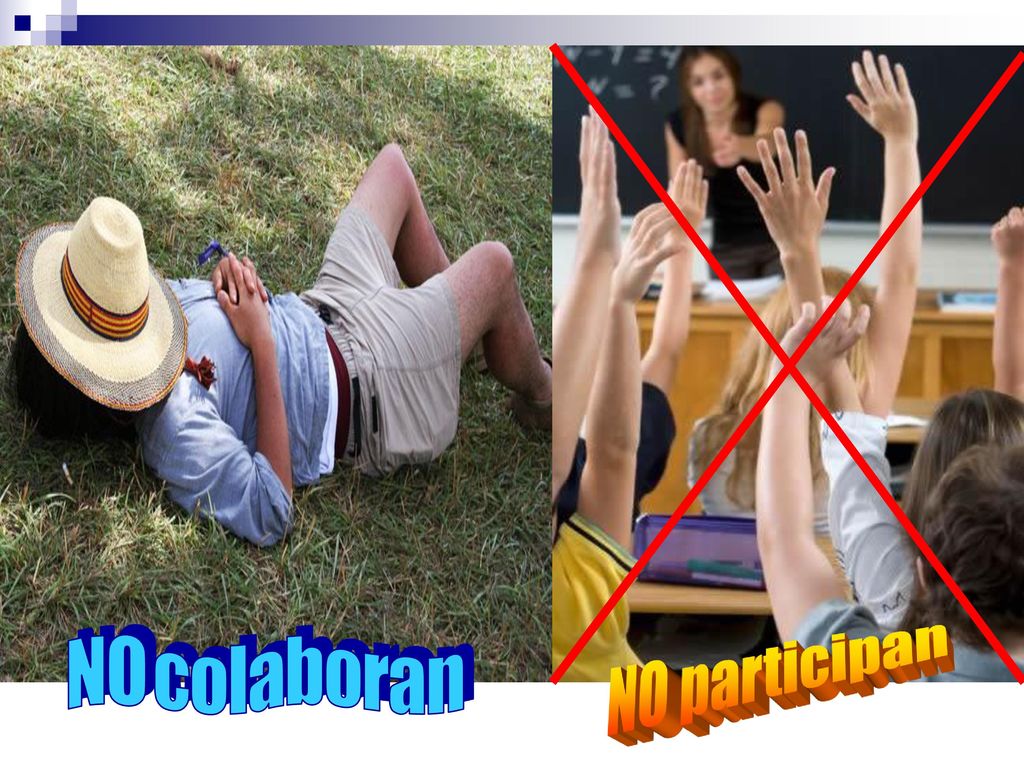 N O c o l a b o r a n NO participan