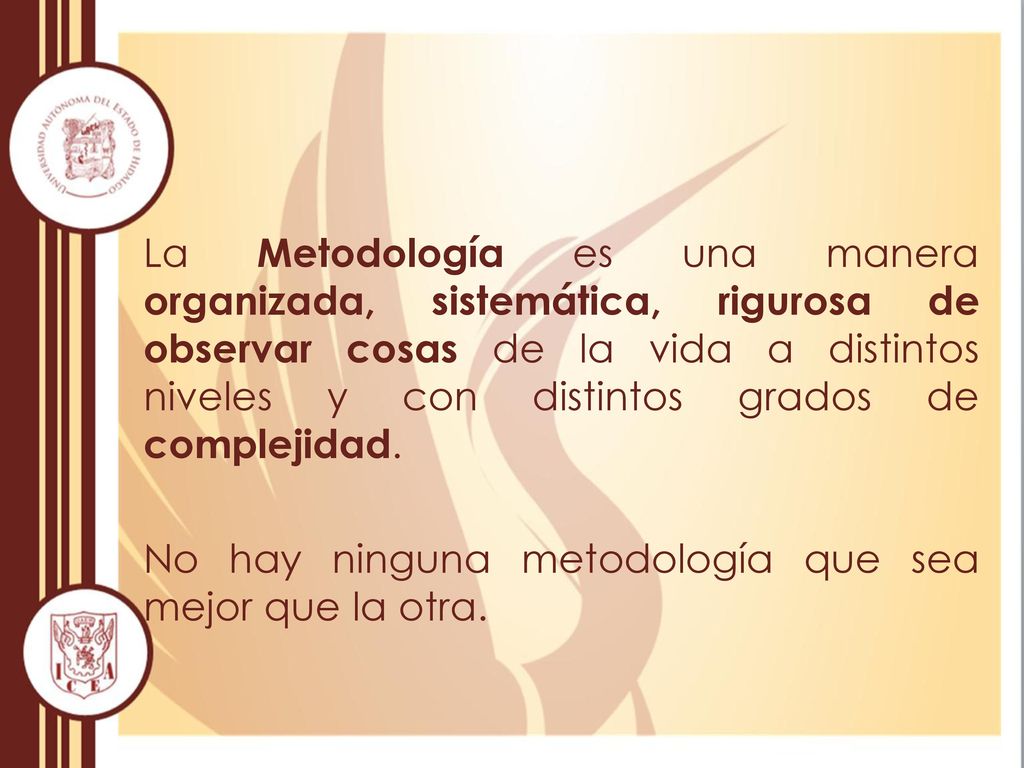 La Metodología es una manera organizada, sistemática, rigurosa de observar cosas de la vida a distintos niveles y con distintos grados de complejidad.