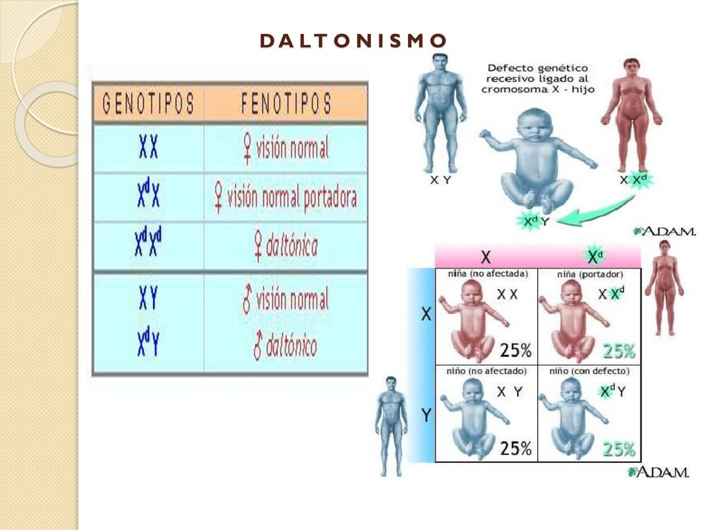 D A L T O N I S M O
