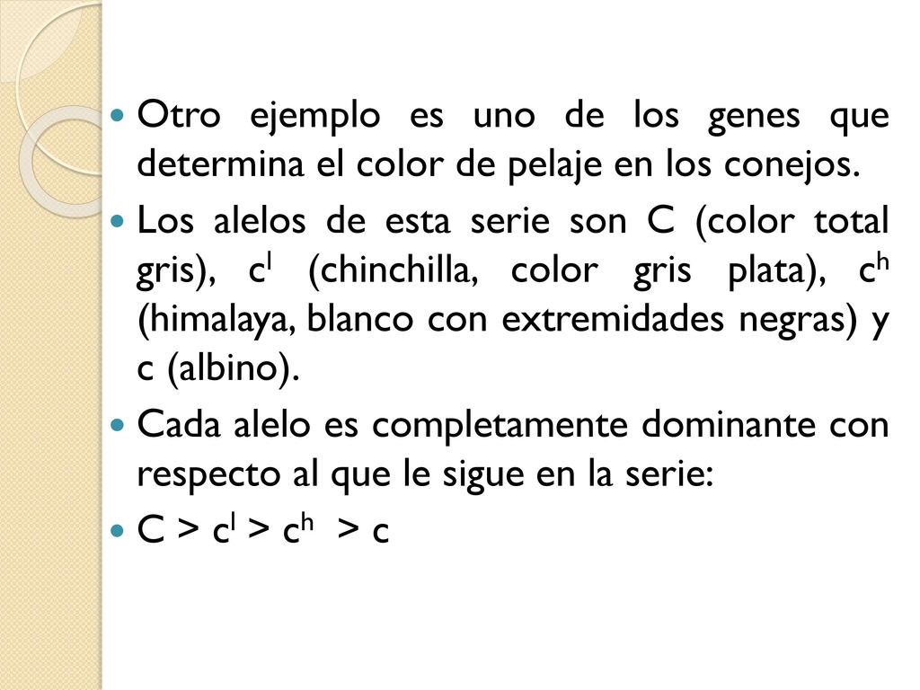 Otro ejemplo es uno de los genes que determina el color de pelaje en los conejos.