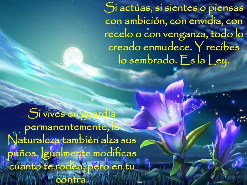 Si actúas, si sientes o piensas con ambición, con envidia, con recelo o con venganza, todo lo creado enmudece. Y recibes lo sembrado. Es la Ley.