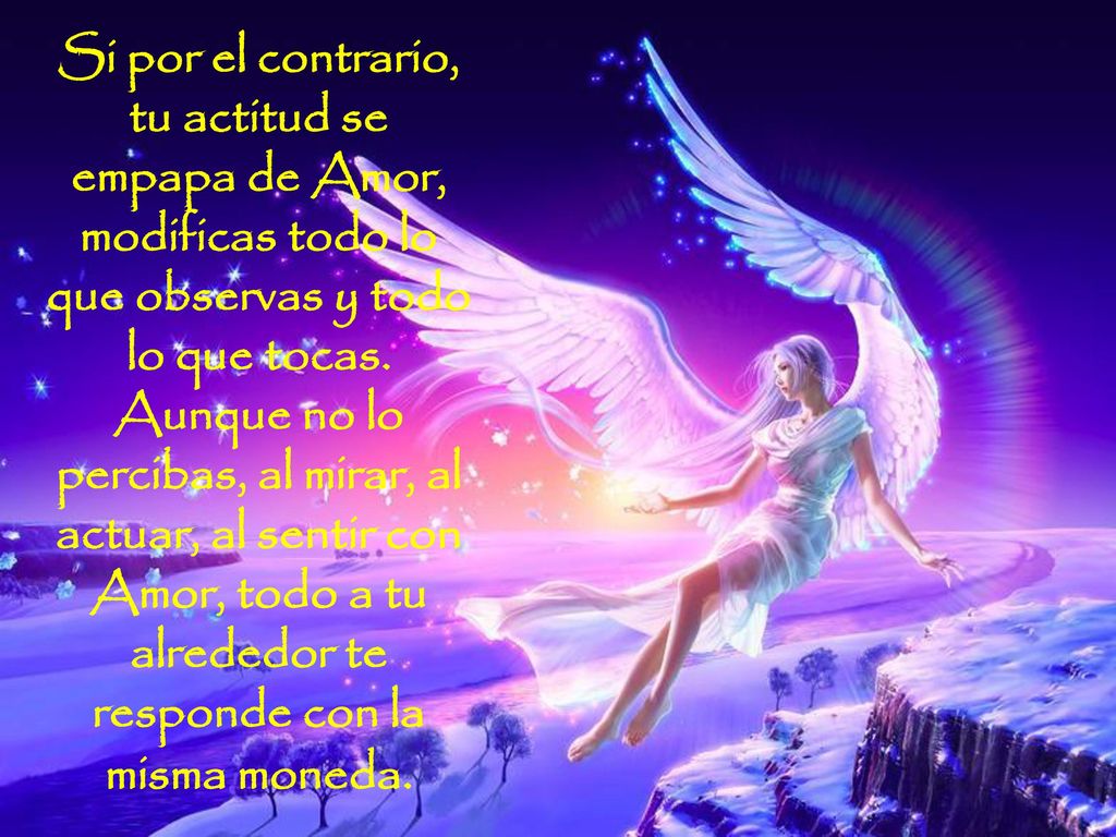 Si por el contrario, tu actitud se empapa de Amor, modificas todo lo que observas y todo lo que tocas.