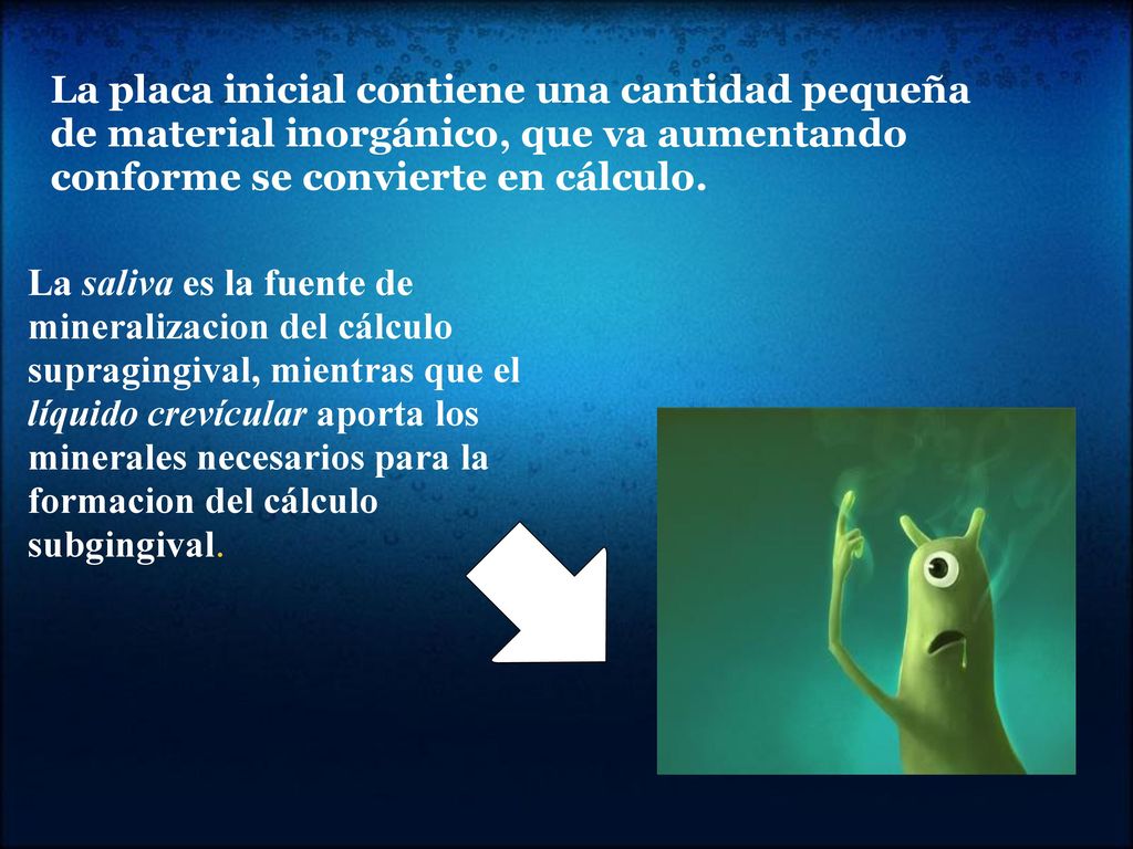 La placa inicial contiene una cantidad pequeña de material inorgánico, que va aumentando conforme se convierte en cálculo.
